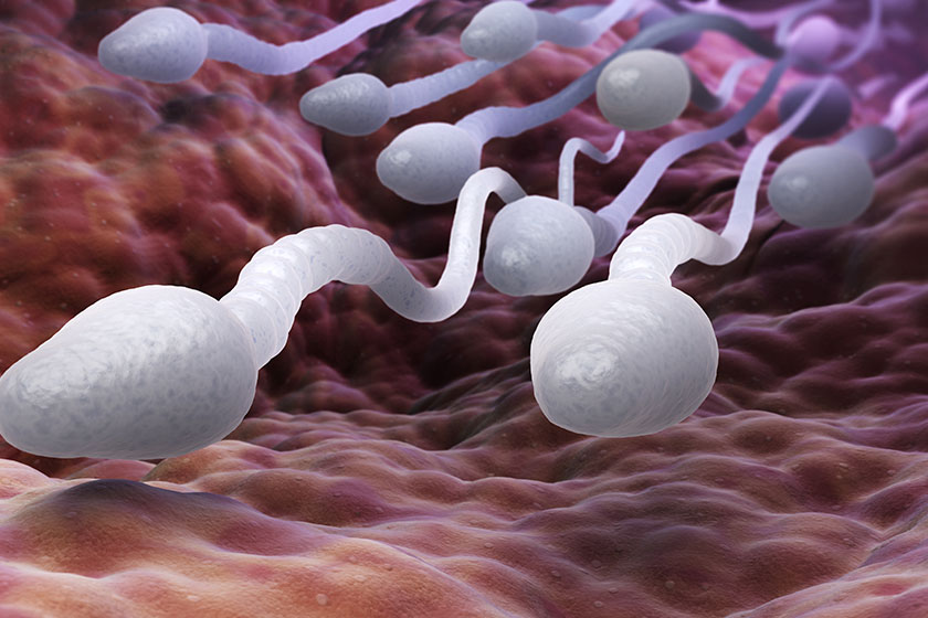 Sperm Sağlığınızı Korumak İçin Bu Maddeleri Gözden Geçirin