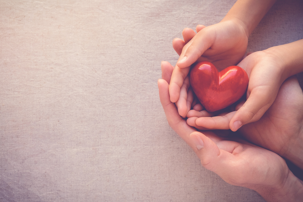Kalbin Çalışma Mekanizmasını Biliyor Musunuz?