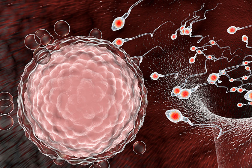Korunmasız Birliktelik: Vazektomi İle Sperm Kanalları Bağlanabilir!