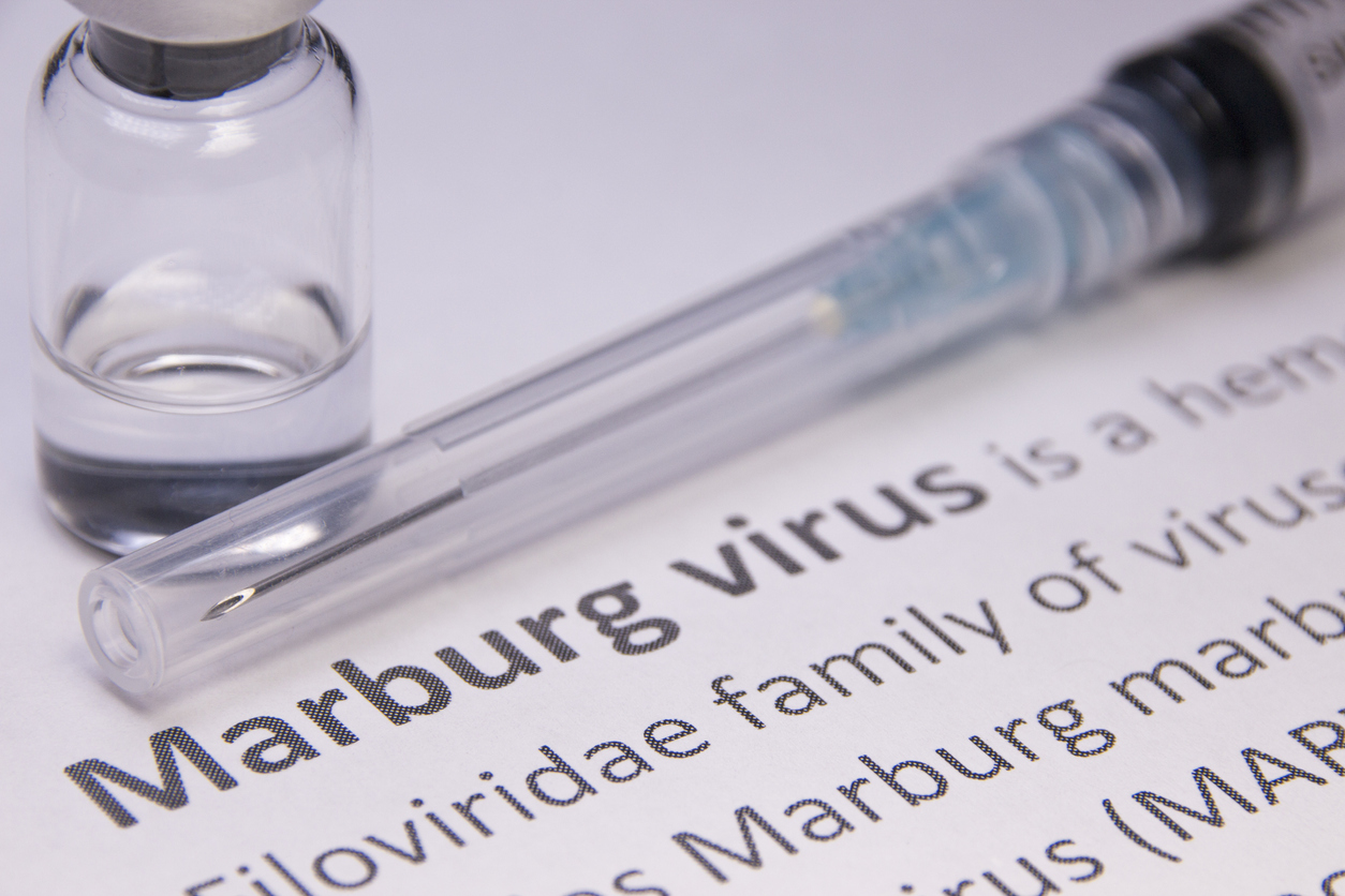 Marburg Virüsü Nedir? Semptomları Nelerdir?