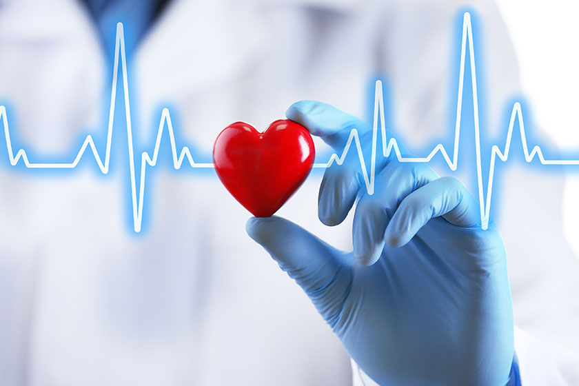 Organ Bağışı İle İlgili Bu 6 Maddeyi Gözden Geçirin
